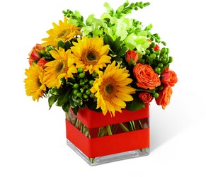 Perfect Sun Bouquet from Visser's Florist and Greenhouses in Anaheim, CA
